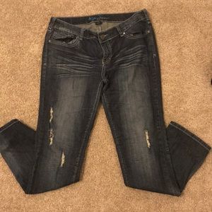 Ariya Distressed Denim